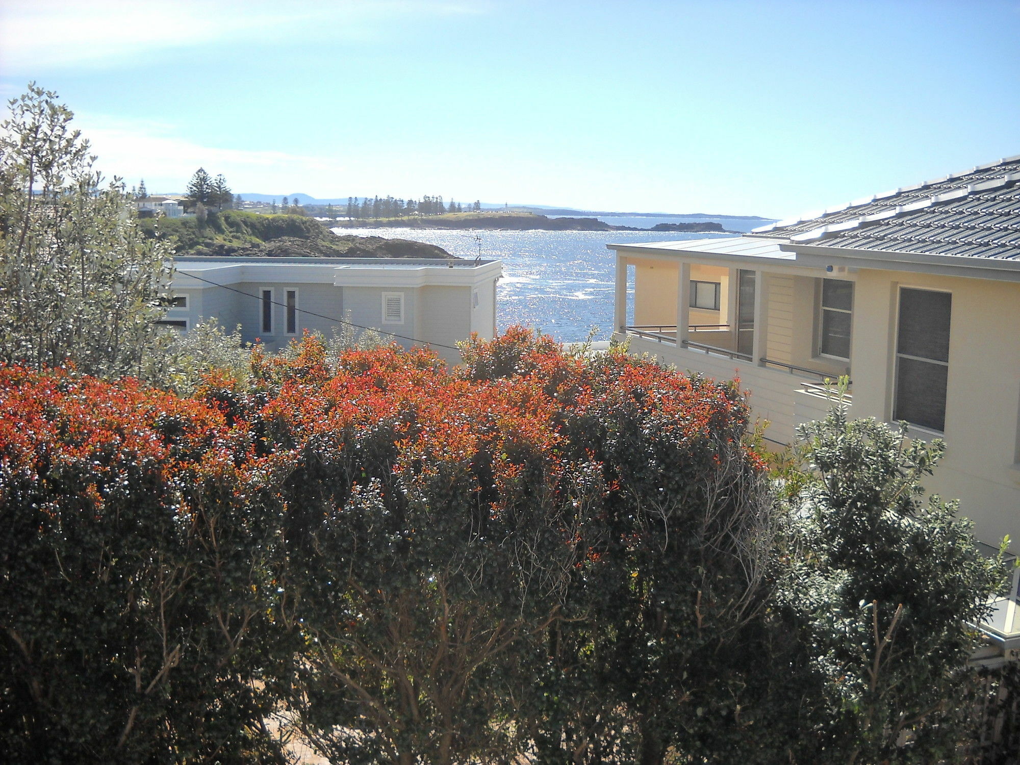 Shutters By The Sea Kiama-Sea Views-Waterfront-Private On Coastal Walk Киама Екстериор снимка
